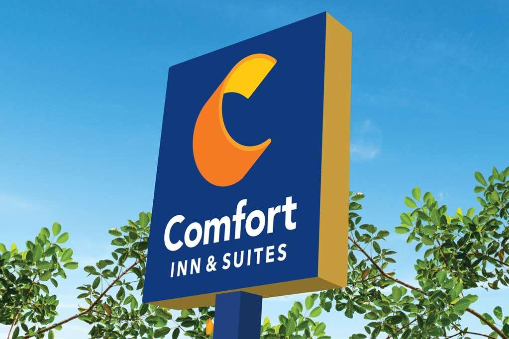Comfort Inn & Suites Newark Liberty International Airport Kültér fotó